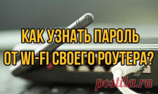 Как узнать пароль своего роутера.