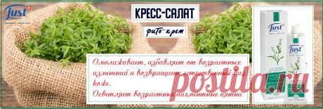 Натуральный травяной крем Кресс–салат от Just отличный, для осветления пигментных пятен после интенсивных солнечных ванн, а также для обесцвечивания возрастных.