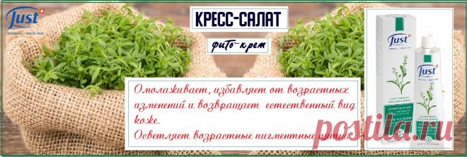 Натуральный травяной крем Кресс–салат от Just отличный, для осветления пигментных пятен после интенсивных солнечных ванн, а также для обесцвечивания возрастных.