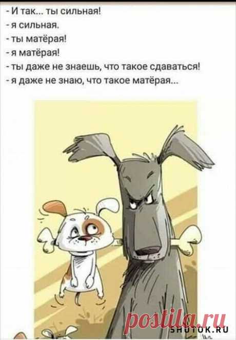 image (474×682)