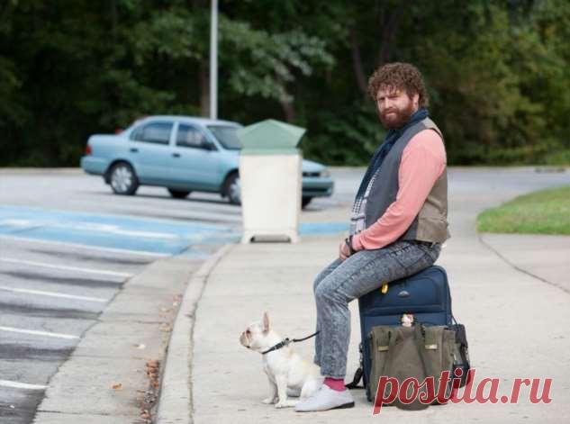 Не выходя из дома: 9 лучших фильмов о путешествиях | Люблю Себя