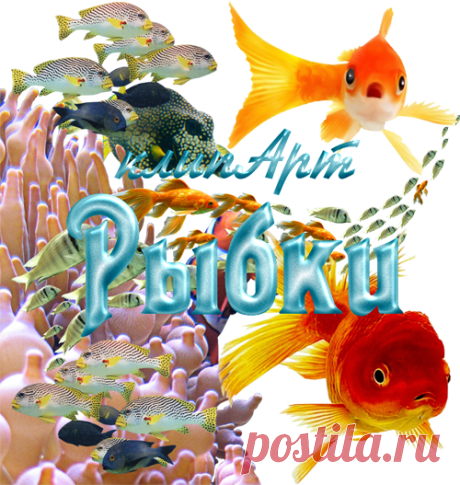 Клипарт PNG - Рыбки