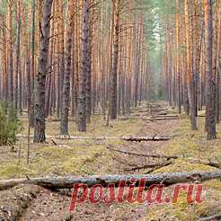 Афоризмы авторов: АБУ-ль-ФАРАДЖ Аль-Исфахани, АВГУСТИН Блаженный, АВЕРБАХ Бертольд, АВЛ ГЕЛЛИЙ, АГРИКОЛА, АДДИСОН Джозеф, АЗИМОВ Айзек, АКВИНСКИЙ Фома, АКСАКОВ Сергей Тимофеевич, АКУТАГАВА Рюноскэ, АКЦИЙ Луций, АЛЕКСАНДР I, АЛЕКСАНДР II, АЛЕКСАНДР III, АЛЛЕН Фред, АЛЬБЕРТИ Леон Баттиста, АЛЬЕНДЕ Исабель, АЛЬЕНДЕ Сальвадор, АНАХАРСИС, АНДРЕЕВ Даниил, АНДРЕЕВ Леонид, АНТИСФЕН, АНТОНИЙ Марк, АНТОНОВ Олег Константинович, АПЕЛЛЕС, АППИЙ Клавдий, АПУЛЕЙ, АПШЕРОНИ Али, АРИОСТО Лудовико, АРИСТОТЕЛЬ, АР