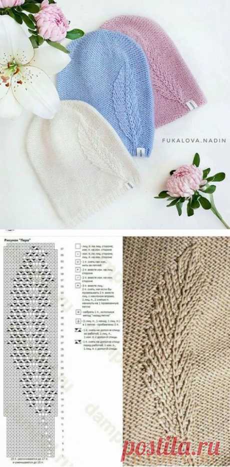 (231) Pinterest
