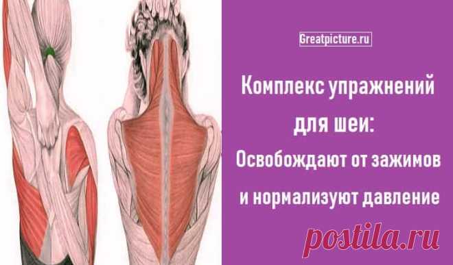 Комплекс упражнений для шеи: Освобождают от зажимов Комплекс упражнений для шеи: Освобождают от зажимов и нормализуют давление.Следующие упражнения предназначены для расслабления