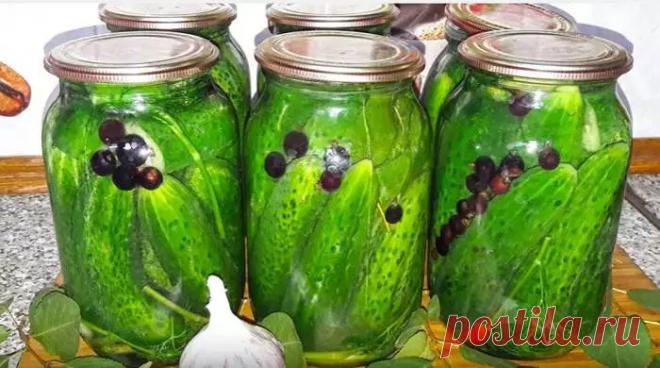 Маринованные огурцы на зиму без стерилизации - 5 рецептов