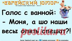 Подборка лучших еврейских анекдотов за июнь 2017г. | Я люблю Израиль