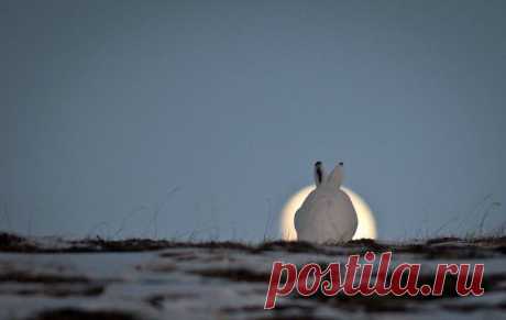 Берегите природу