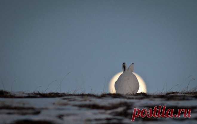 Берегите природу