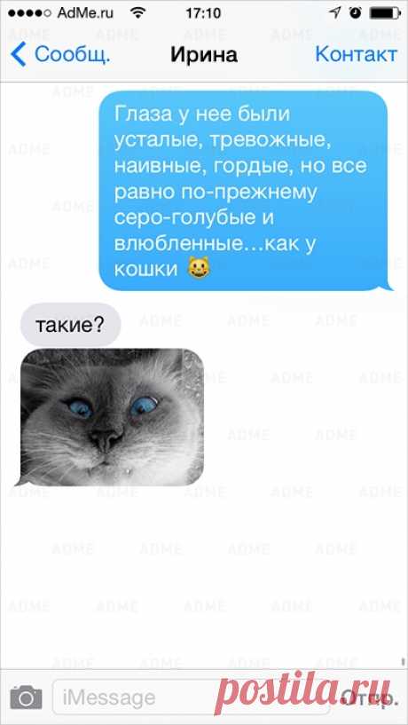 25 СМС от самых настоящих циников