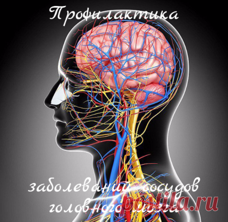 Профилактика заболеваний сосудов ГОЛОВНОГО МОЗГА