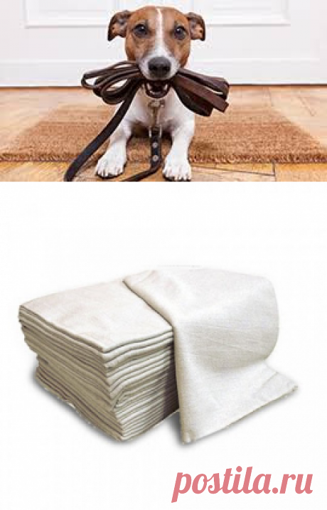 #edihitt agregador informativo: Lava-se panos de chão, roupas de cachorro, coleiras de cachorro, panos de cachorro...etc.