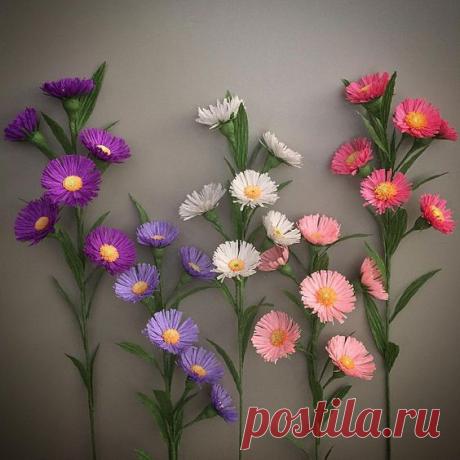 (68) Pinterest