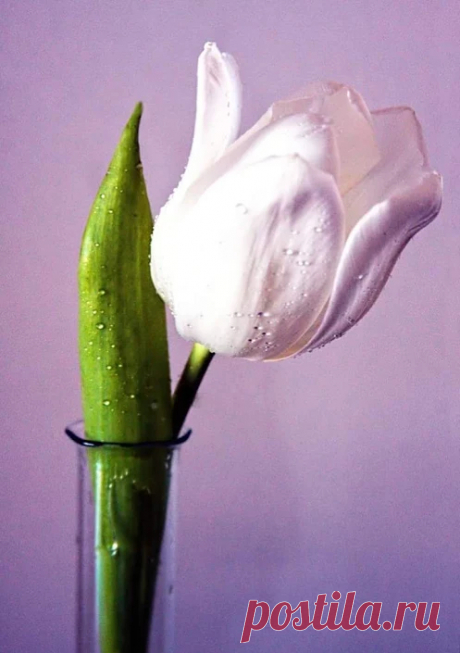 Google+