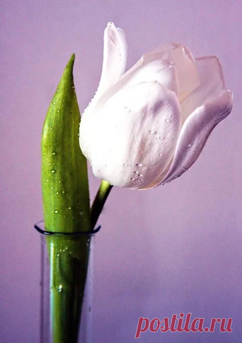 Google+