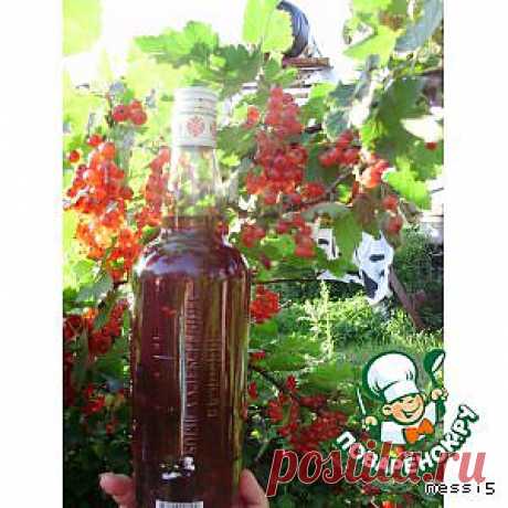 Вино из красной смородины - кулинарный рецепт