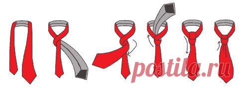 Как завязывать галстук?