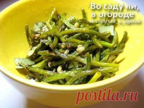 Маринованные стрелки чеснока | Дачный сад и огород