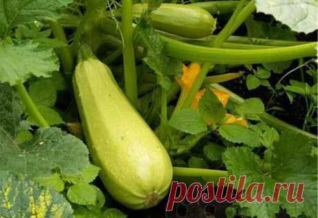 Новости - МирТесен