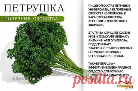 полезные травы