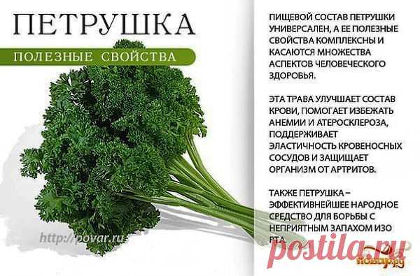 полезные травы