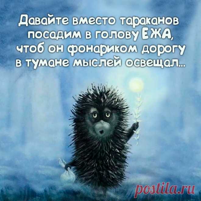 Меняем тараканов на ежа!
