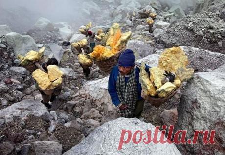 Сильные люди острова Ява | Burabai
Добытчиков Кавах Иджена уважают за мужество. Ведь в любую погоду и днем и ночью они добывают свернувшуюся кровь вулкана, за что индонезийцы называют их сильными людьми Явы.