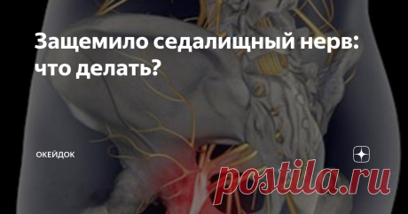 Защемило седалищный нерв: что делать? Самым протяженным нервом в человеческом теле является нерв седалищный, который начинается внизу спины (в поясничном отделе) и, расщепляясь надвое, тянется через ягодицы, бедра и икры к ступням. Именно этот нерв обеспечивает нашим ногам подвижность, связывая их мускулы с центральной нервной системой.
И вот однажды по той или иной причине седалищный нерв оказывается раздраженным или же защемленным.