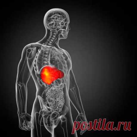 Как по ногам распознать проблемы с печенью... - Познавательный сайт ,,1000 мелочей" - медиаплатформа МирТесен Просматривайте этот и другие пины на доске Здоровье пользователя Светлана.
Теги
Как по ногам распознать проблем с печенью...
- Познавательный блог «1000 мелочей» - медиаплатформа миртесен
Что говорят другие
Natural Remedies - Home Remedies Labs
Excellent Natural health remedies info are offered on our web pages.
Outstanding health benefits tips are available on our website.
Outstanding…