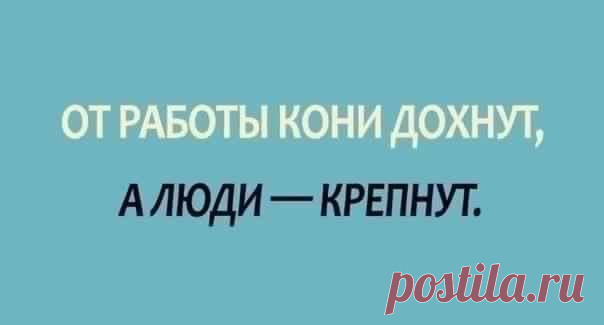 50 ИЗВЕСТНЫХ ПОСЛОВИЦ И ПОГОВОРОК В ИХ ПОЛНЫХ ВЕРСИЯХ