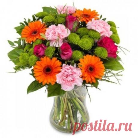 tulipanes de colores - Buscar con Google