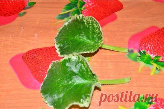 Сегодня хочу поделиться своим опытом, как я укореняю черенки фиалки, так как многие спрашивают как это делать, у многих вообще  ни чего не получается, или загнивают, или долго сидят, а деток нет, или еще какие-либо причины. Все, что описано ниже из моего личного опыта, который практикую не один год . Итак нам понадобятся черенки, я сажаю сразу по два в одну ёмкость.