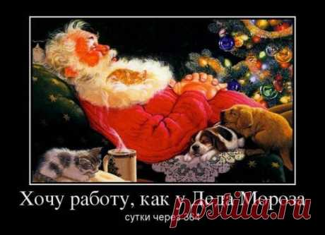 Хочу работу, как у Деда Мороза. Демотиваторы | Позитив в картинках и не только