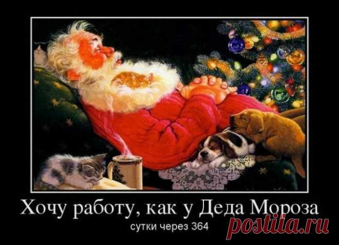 Хочу работу, как у Деда Мороза. Демотиваторы | Позитив в картинках и не только