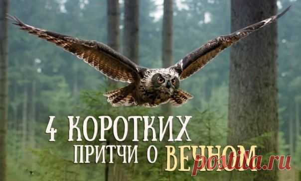 4 коротких притчи О ВЕЧНОМ | НАШ ГОРОДОК
