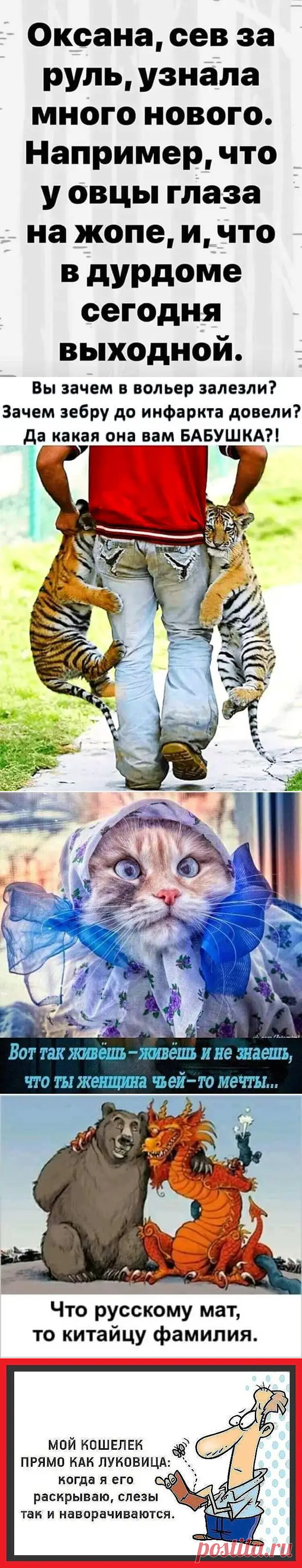 Ничто в доме не хранится так трепетно, как ненужный хлам под названием 