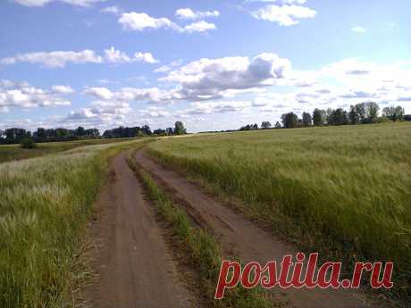 ДОРОГА