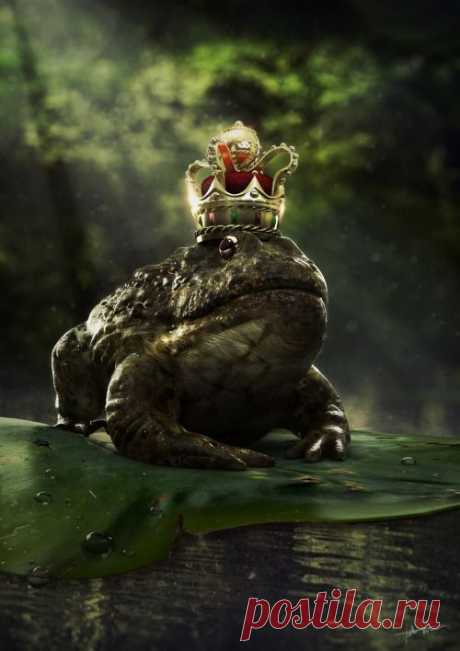 хх
