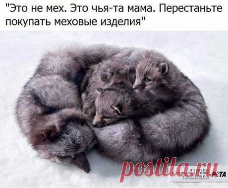 OK.RU