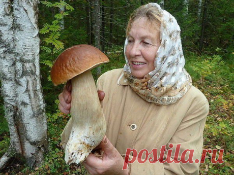 1. НОМИНАЦИЯ - 11 работ на конкурс | КРАСИВЫЕ КАРТИНКИ. ВИДЕО. МИР, В КОТОРОМ МЫ ЖИВЕМ! | Группы Мой Мир