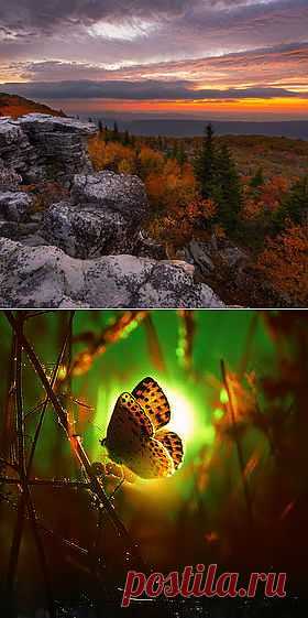 500px / Editor's Choice