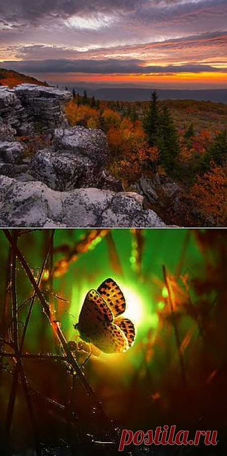 500px / Editor's Choice