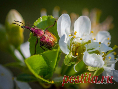 Александр Шрайфель
53 года, Россия, Каменск-Шахтинский
все его фото