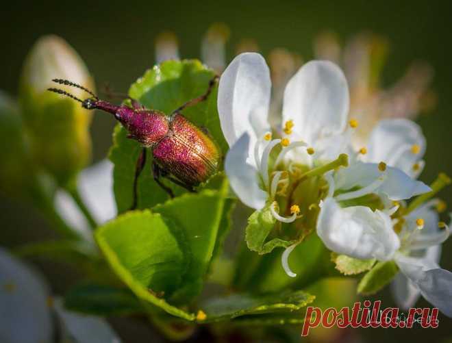 Александр Шрайфель
53 года, Россия, Каменск-Шахтинский
все его фото