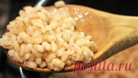 Тушенка с перловкой в автоклаве: рецеты перловка с мясом в автоклаве УкрПромТех