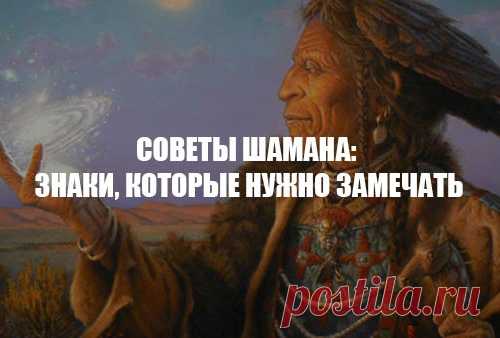 Как с помощью трав улучшить собственную жизнь. Советы шамана