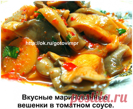 Вкусные маринованные вешенки в томатном соусе