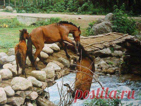 СТАТУСЫ NEW  ๑๑๑ О САМОМ ГЛАВНОМ ๑๑๑