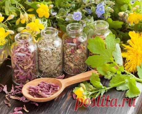 Очищение организма от шлаков народными методами