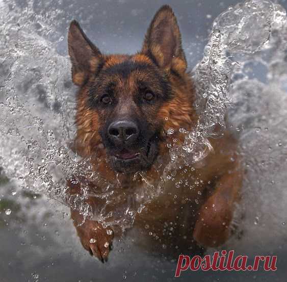Google+